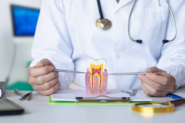 Best Emergency Treatment for Toothache in Wind Gap, PA
